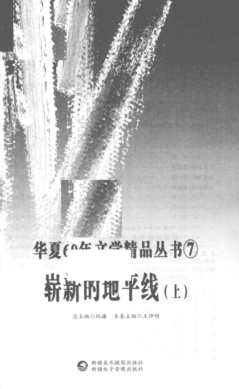 崭新的地平线上_王仲明主编.pdf_第2页