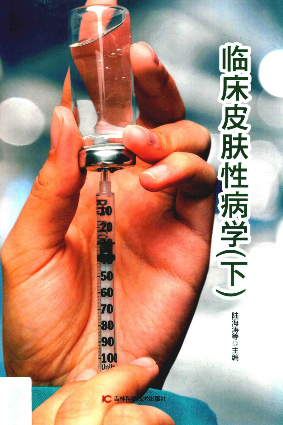 临床皮肤性病学下第2版_陆海涛等主编.pdf_第1页