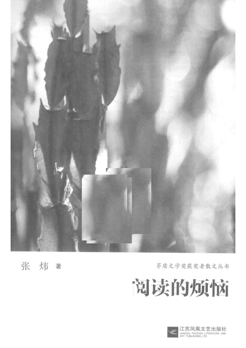 阅读的烦恼_张炜著.pdf_第2页
