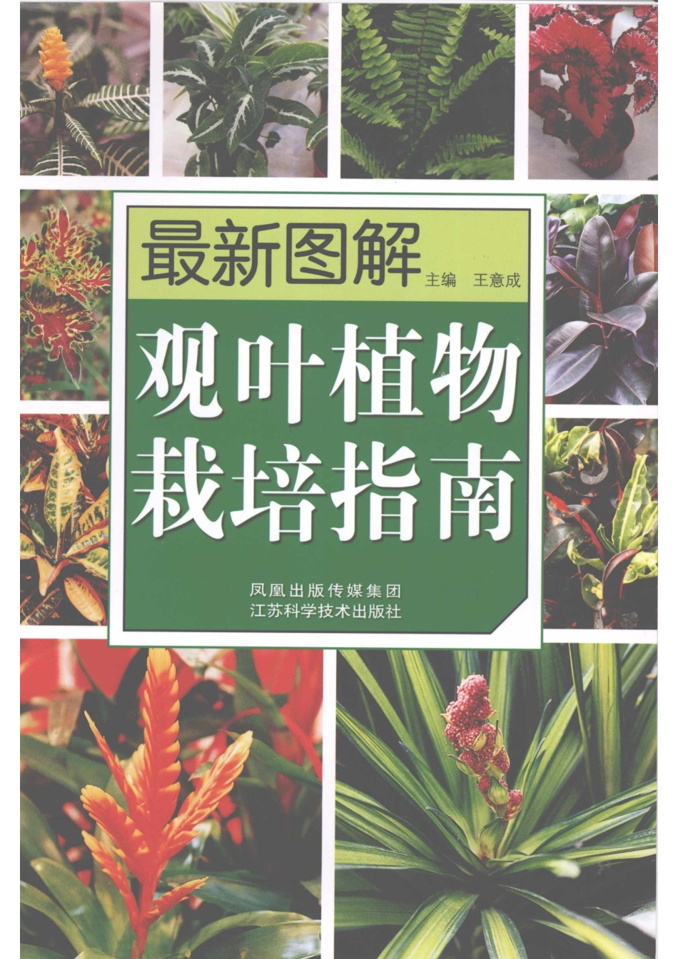 最新图解观叶植物栽培指南_王意成主编.pdf_第1页