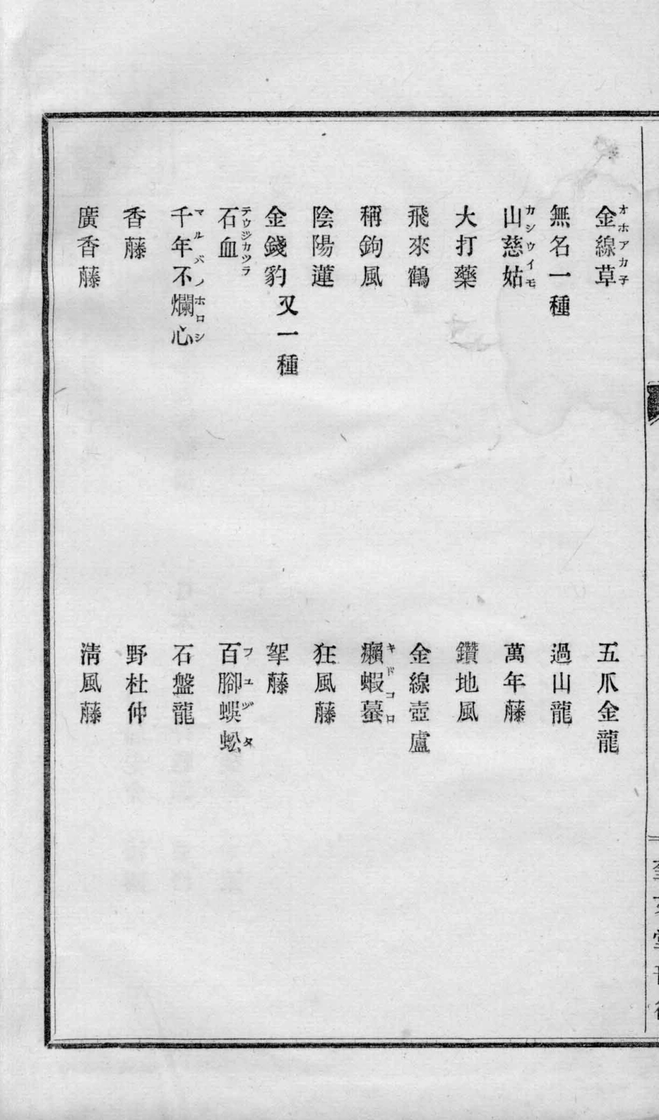 植物名实图考19_（清）吴其浚撰.pdf_第3页