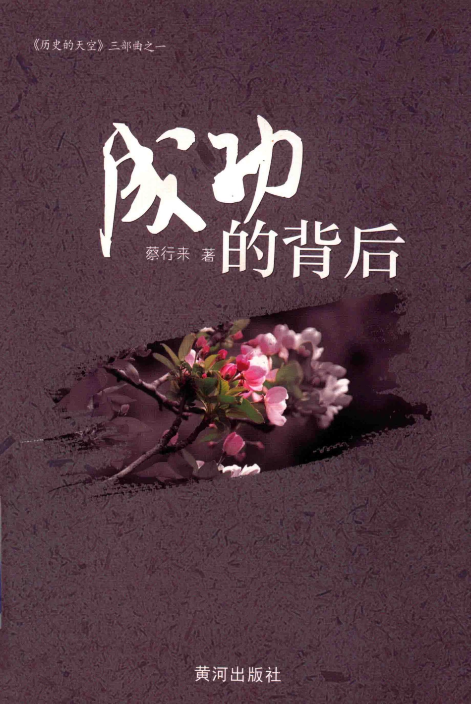 历史的天空成功的背后_蔡行来著.pdf_第1页