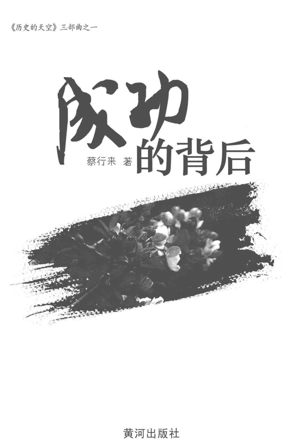 历史的天空成功的背后_蔡行来著.pdf_第2页