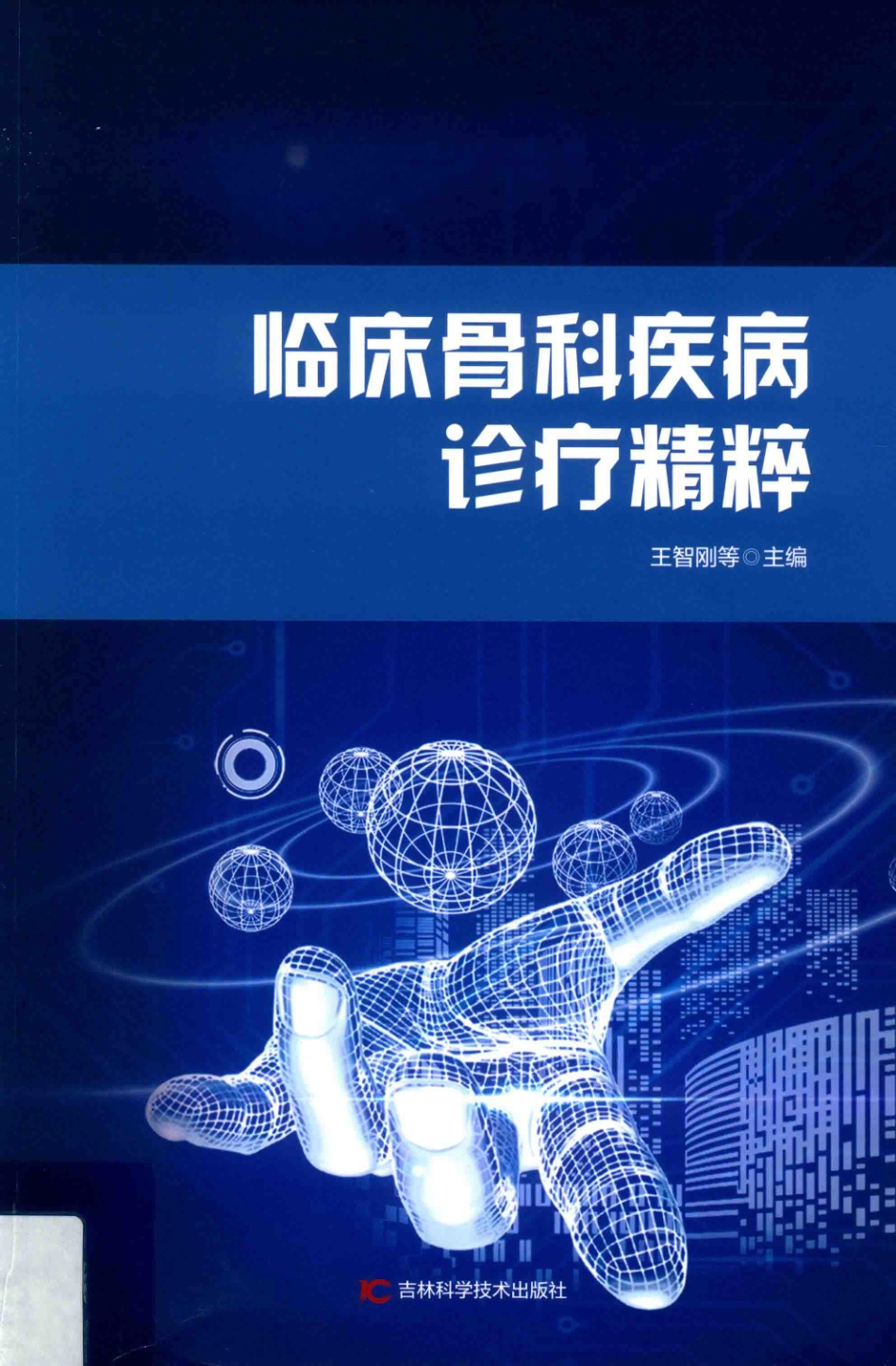 临床骨科疾病诊疗精粹_王智刚等主编.pdf_第1页