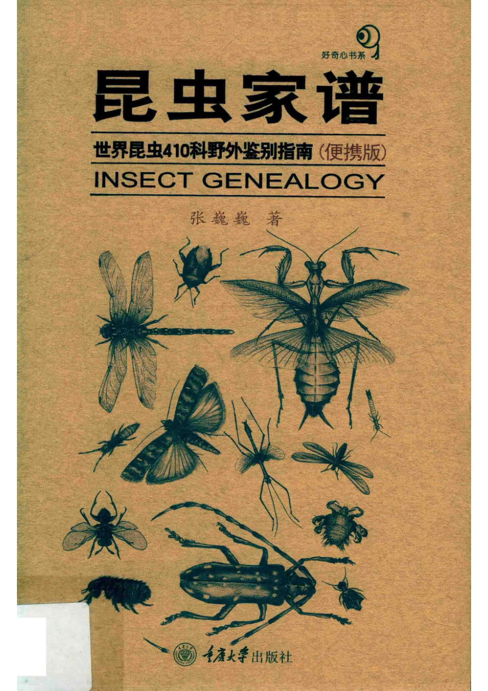 昆虫家谱世界昆虫410科野外鉴别指南便携版_张巍巍著.pdf_第1页