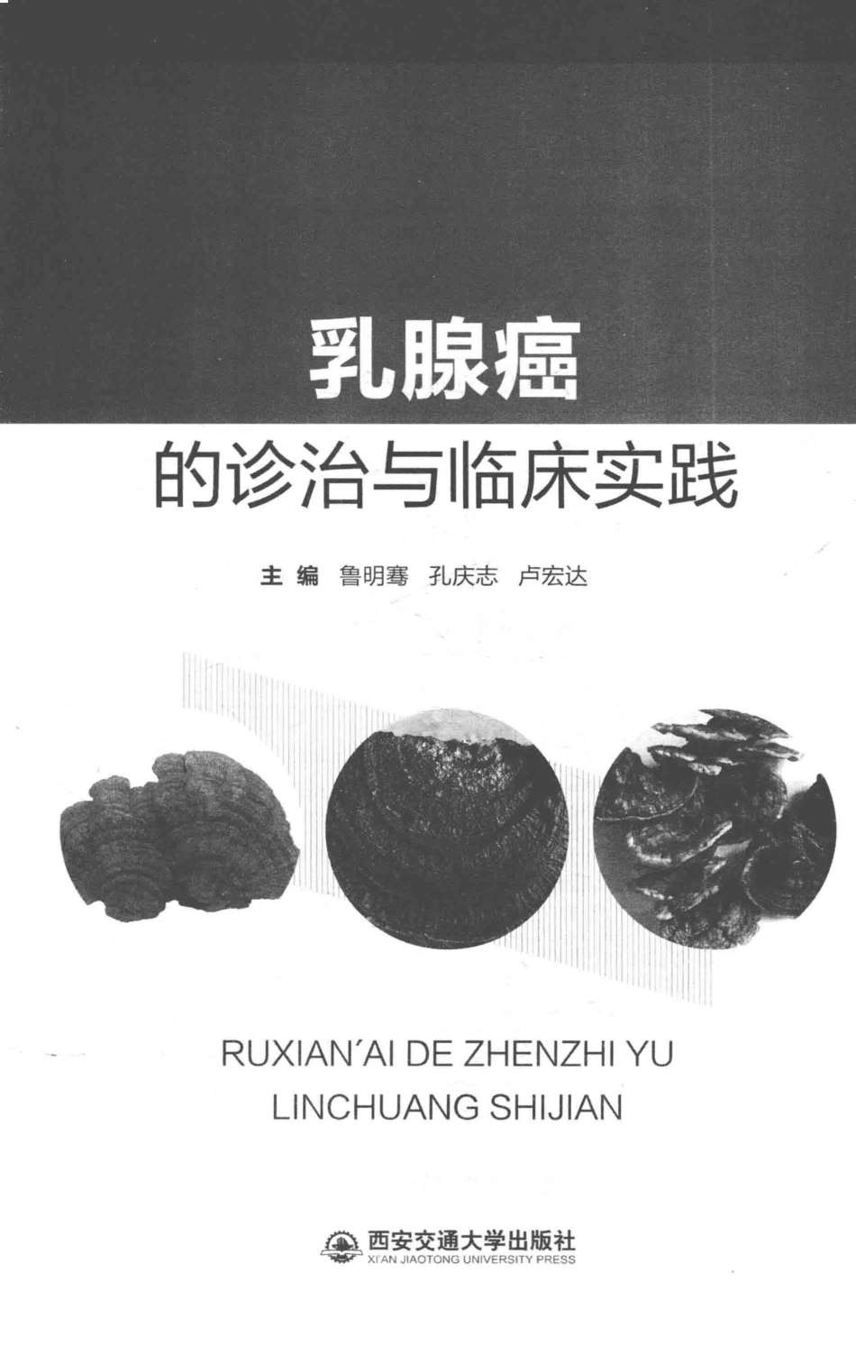 乳腺癌的诊治与临床实践_鲁明骞孔庆志卢宏达主编.pdf_第2页
