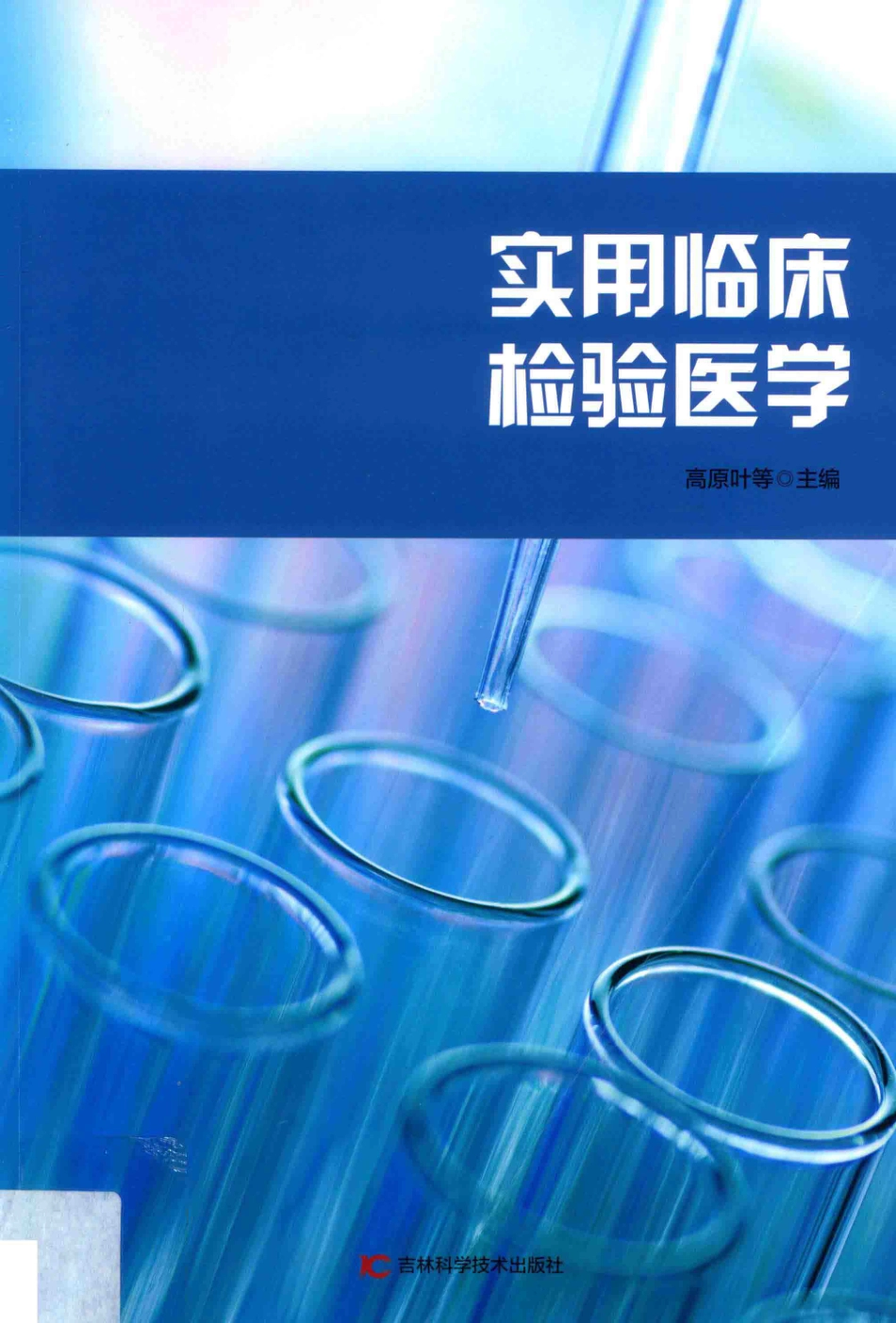 实用临床检验医学_高原叶等主编.pdf_第1页