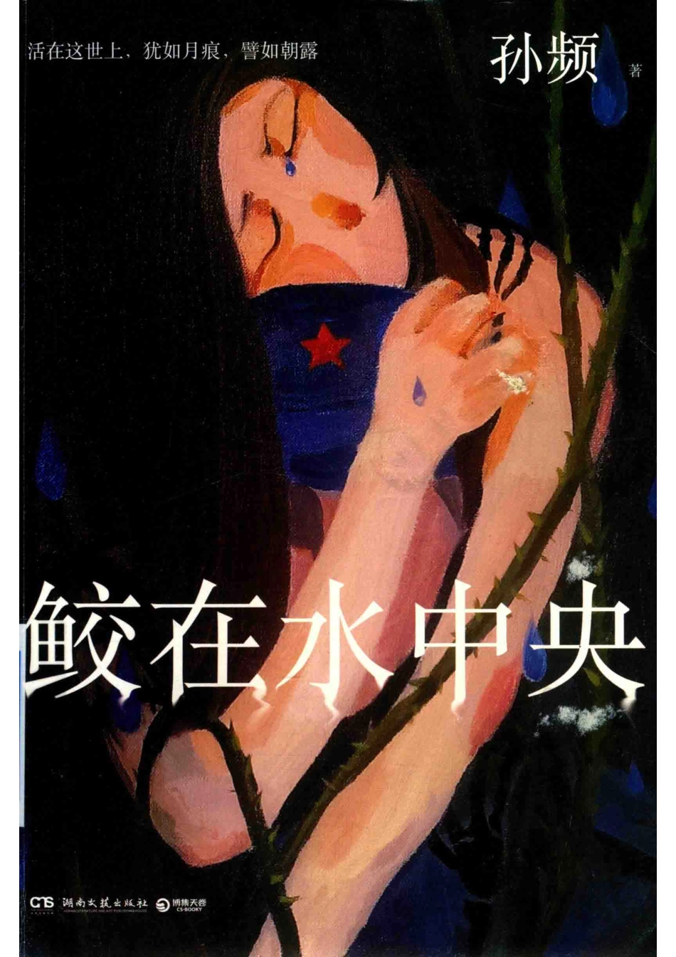鲛在水中央_孙频著.pdf_第1页