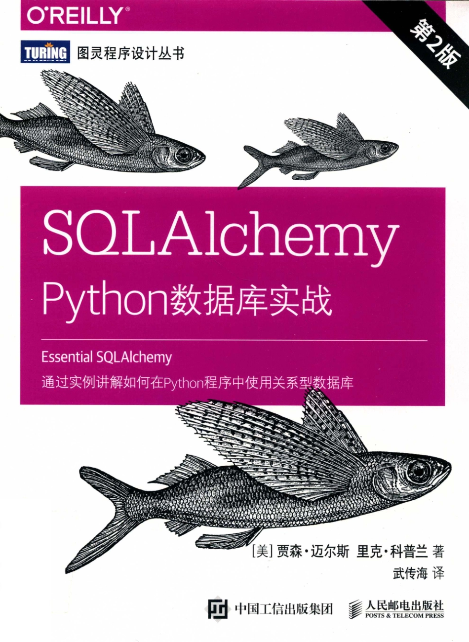 图灵程序设计丛书SQLAlchemy Python数据库实战_岳新欣责任编辑；武传海译；（美国）贾森·迈尔斯Rick Copeland.pdf_第1页