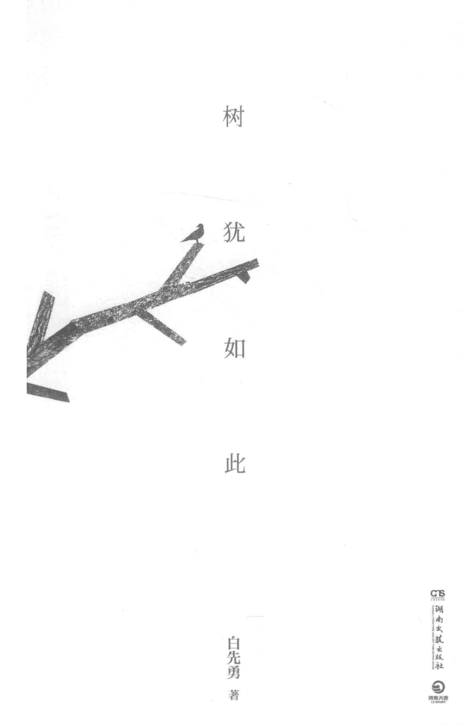 树犹如此_白先勇著；博集天卷出品.pdf_第2页