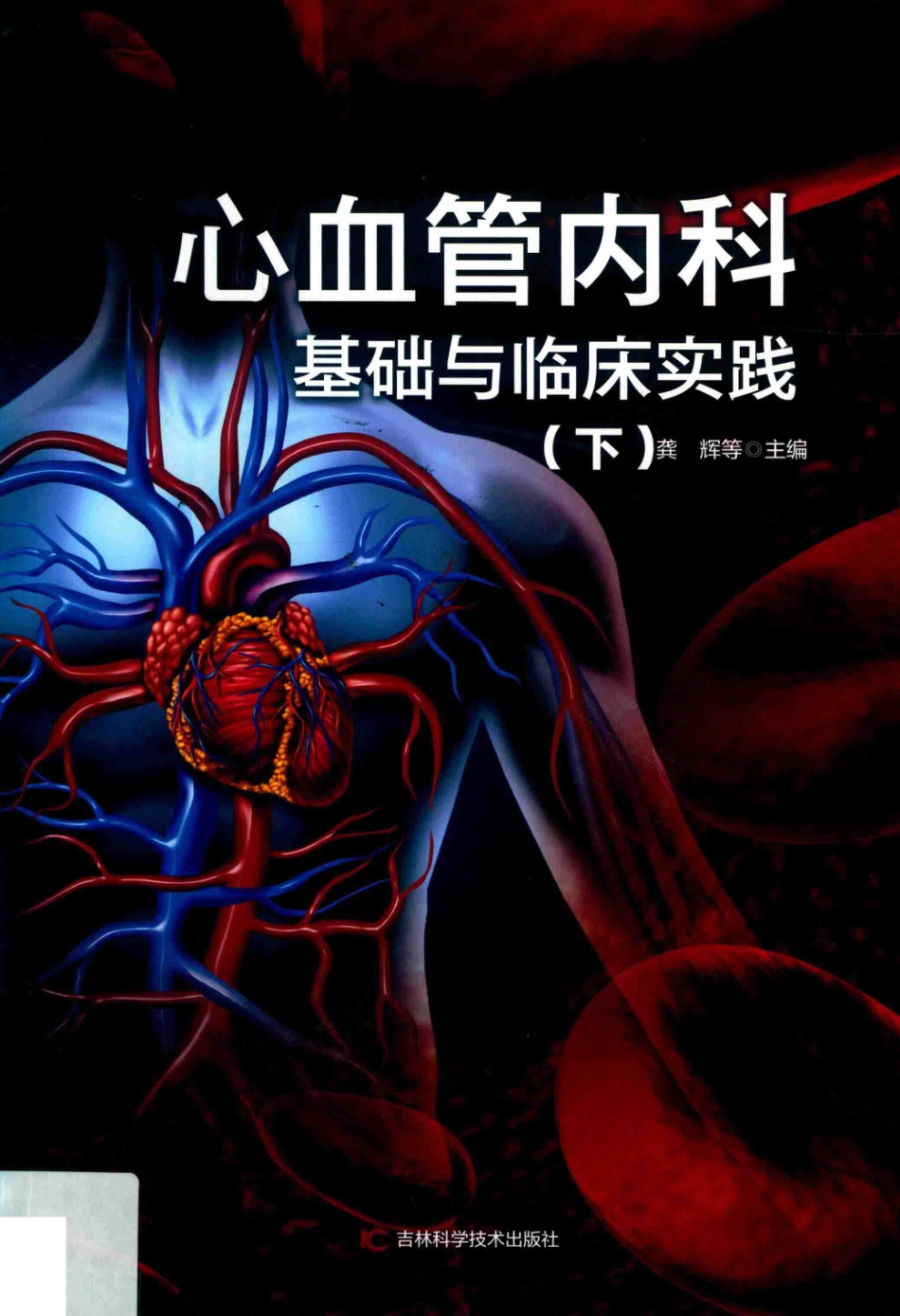 心血管内科基础与临床实践下第2版_龚辉等主编.pdf_第1页