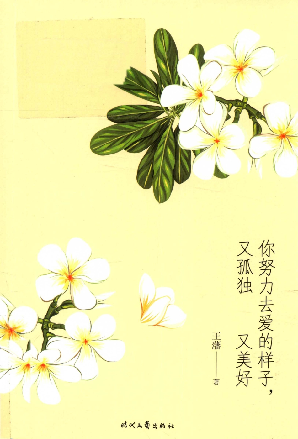 你努力去爱的样子又孤独又美好_王藩著.pdf_第1页