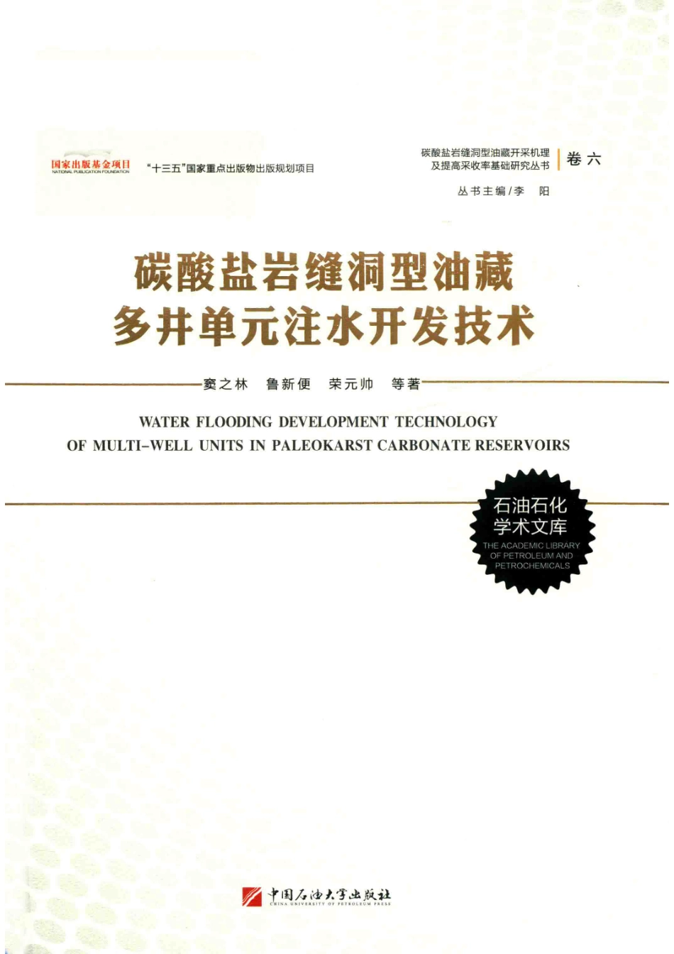 碳酸盐岩缝洞型油藏多井单元注水开发技术_窦之林鲁新便荣元帅等著.pdf_第1页