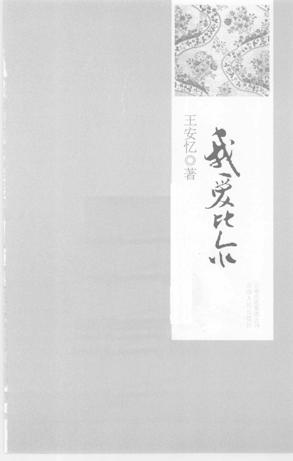 我爱比尔_王忆安著.pdf_第2页