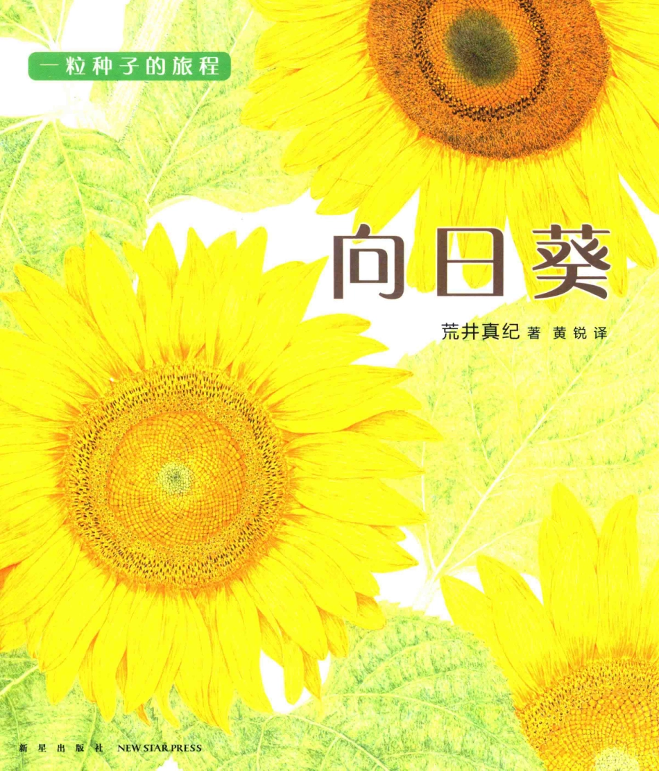 一粒种子的旅程向日葵_（日）荒井真纪著；黄锐译.pdf_第1页