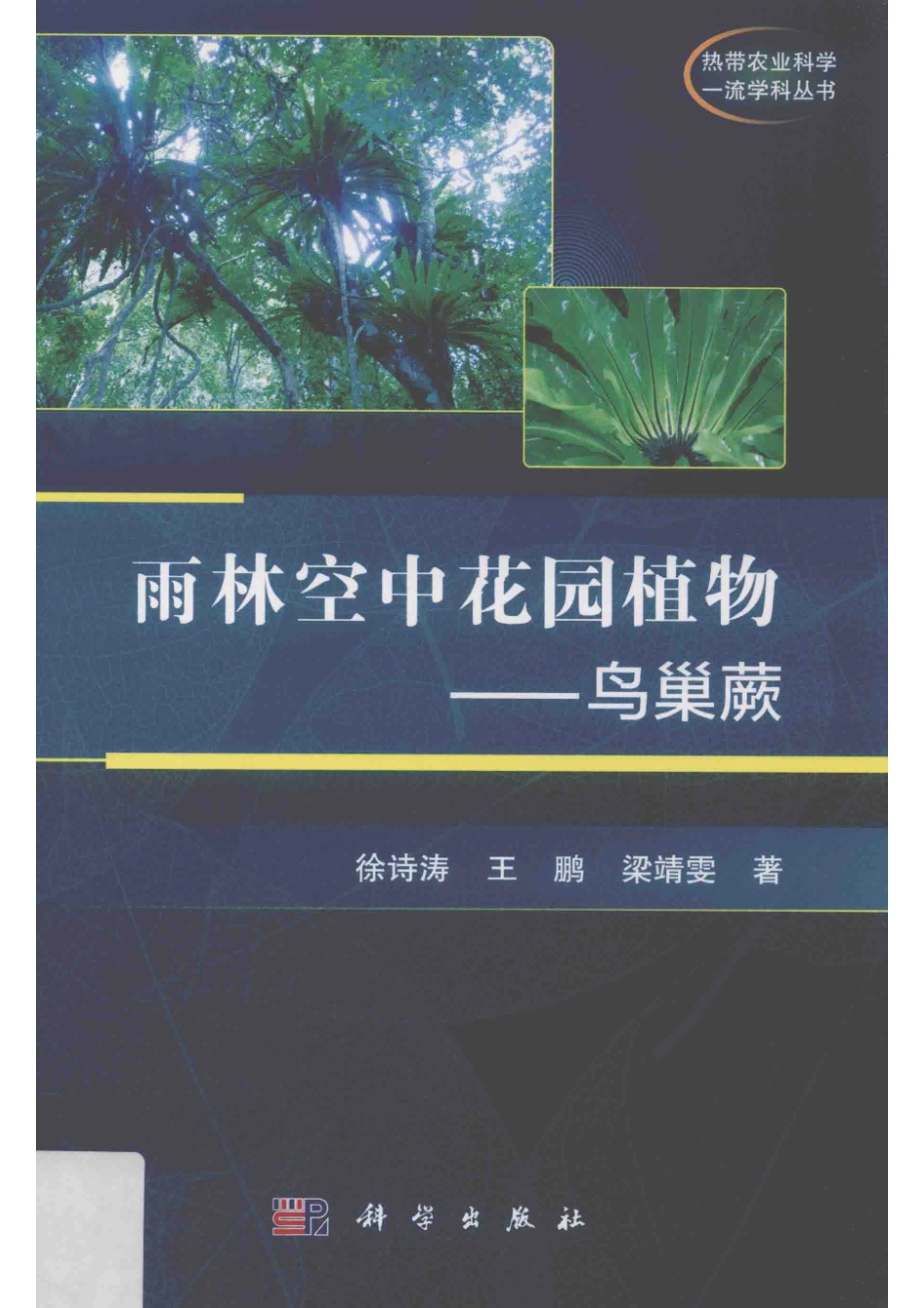 雨林空中花园植物鸟巢蕨_徐诗涛王鹏梁靖雯著.pdf_第1页