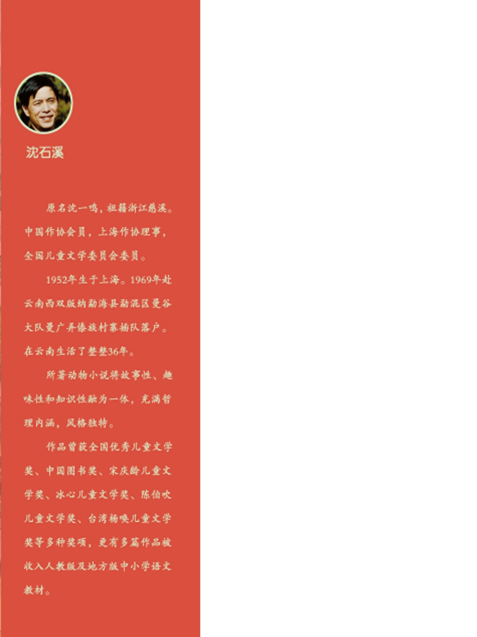 精品动物故事·美绘桥梁书狐狸再骗我一次_沈石溪著；王祖民绘.pdf_第2页