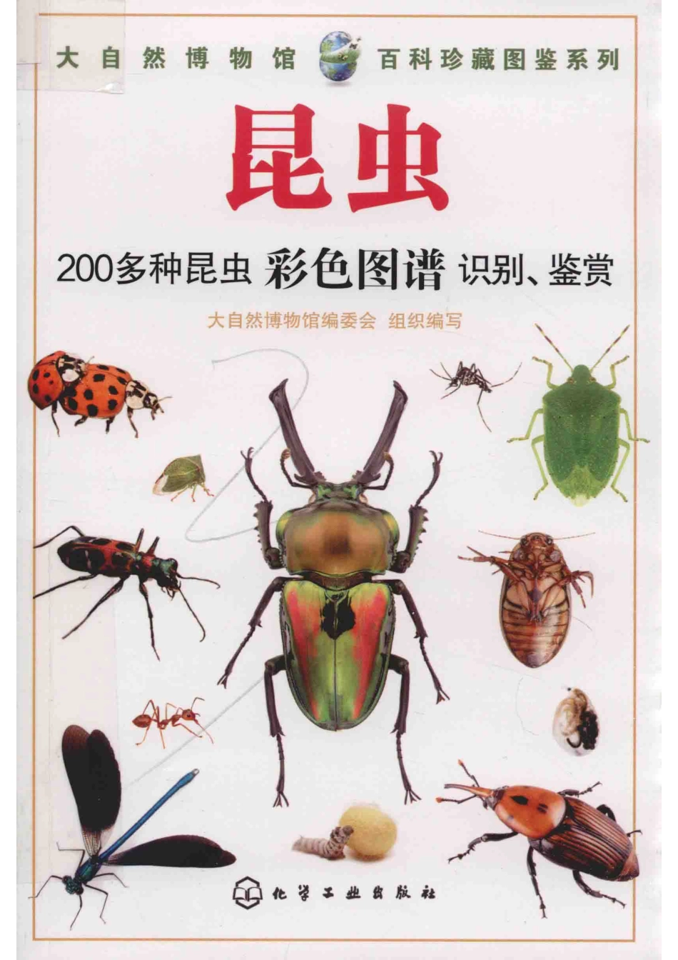 大自然博物馆百科珍藏图鉴系列昆虫_大自然博物馆编委会组织编写.pdf_第1页