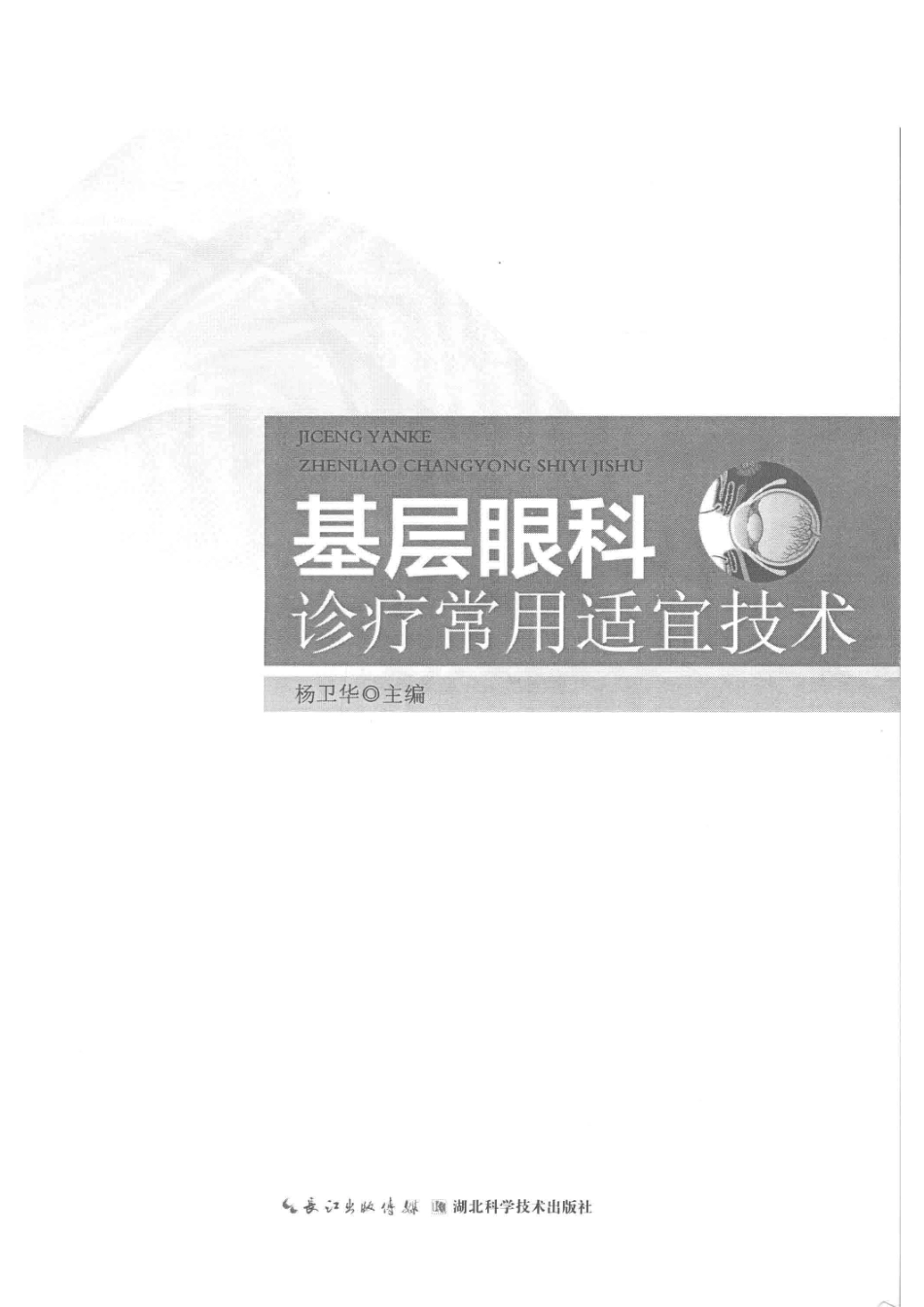 基层眼科诊疗常用适宜技术_杨卫华主编.pdf_第2页