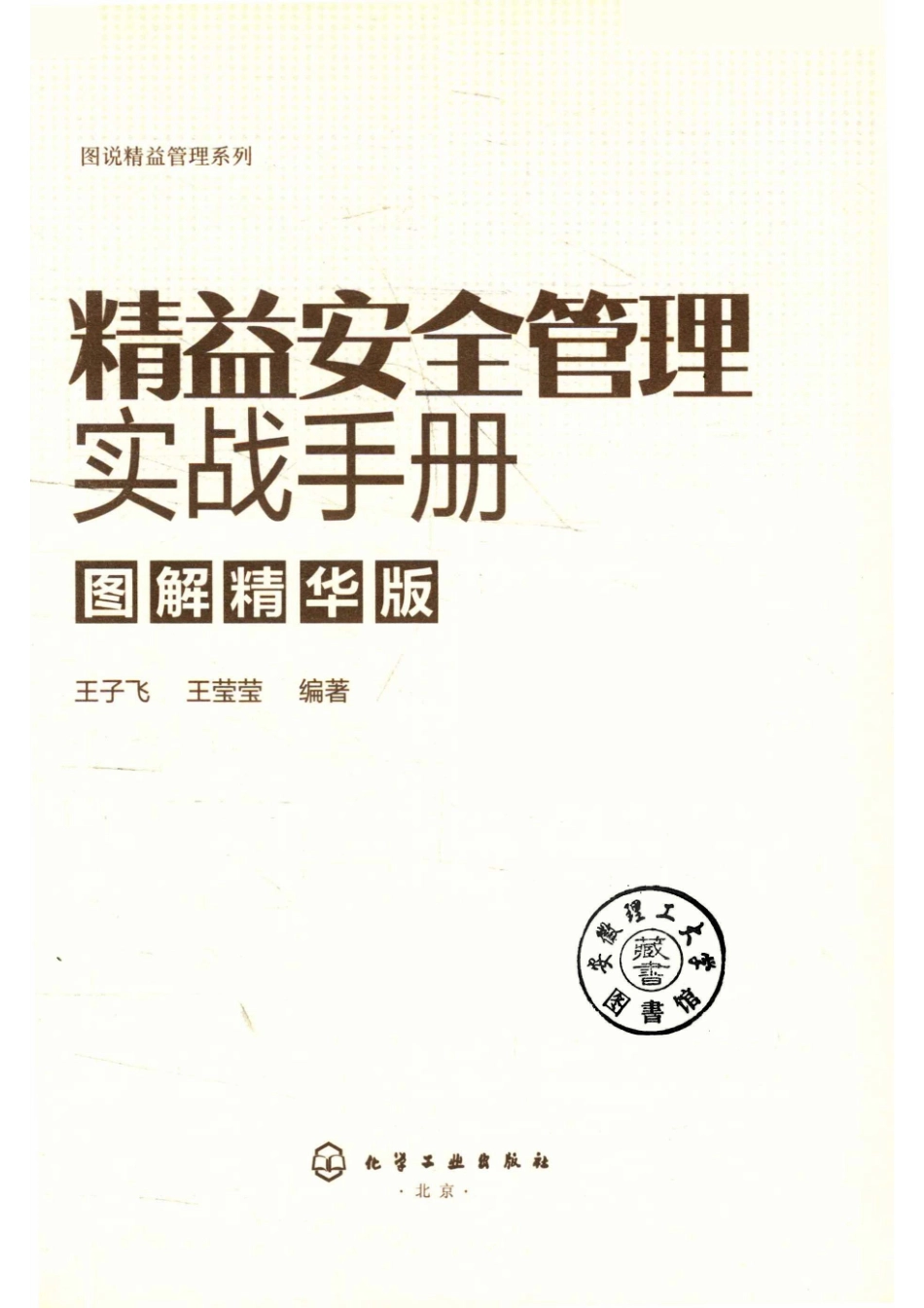 精益安全管理实战手册图解精华版_王子飞王莹莹编著.pdf_第2页