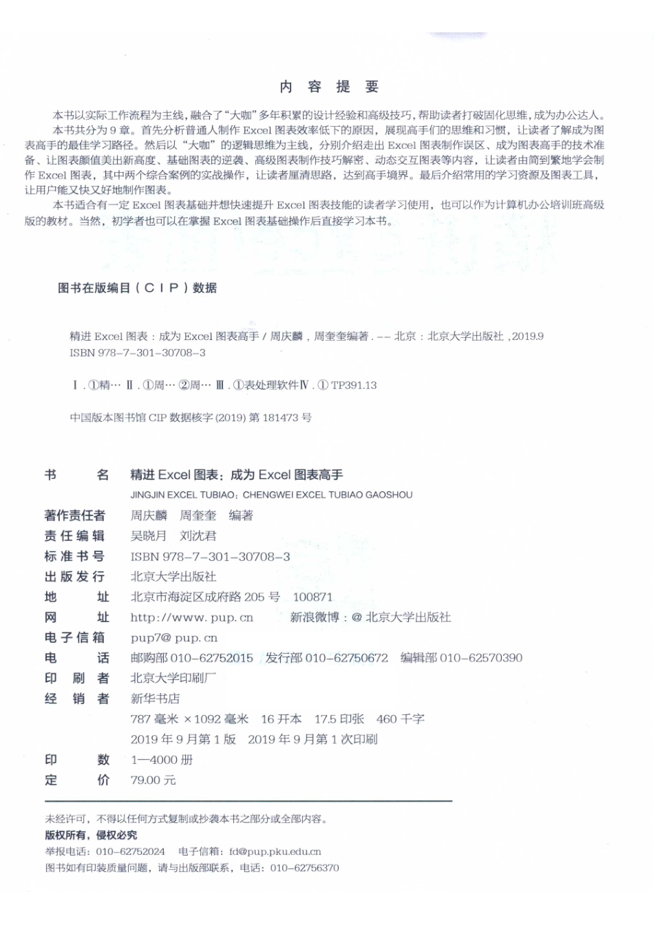 精进Excel图表成为Excel图表高手.pdf_第3页