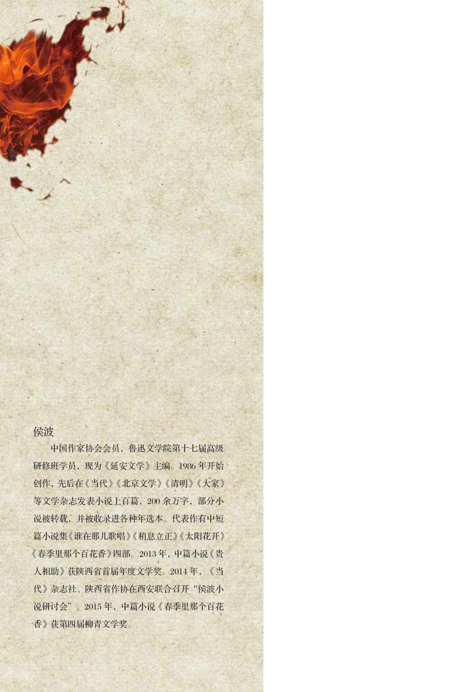 流火季全2册_侯波著.pdf_第2页