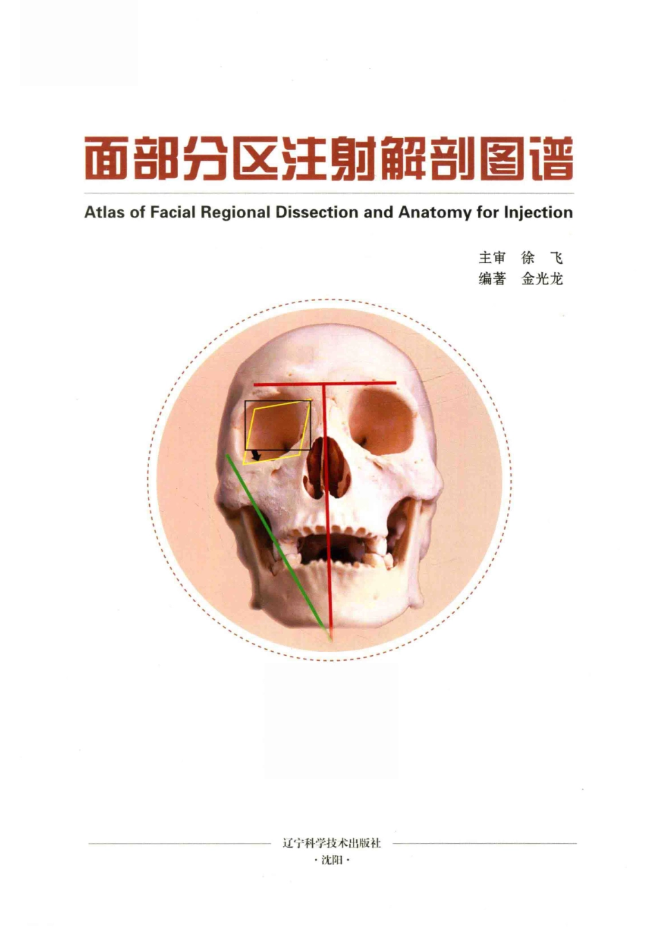 面部分区注射解剖图谱_金光龙编著.pdf_第2页