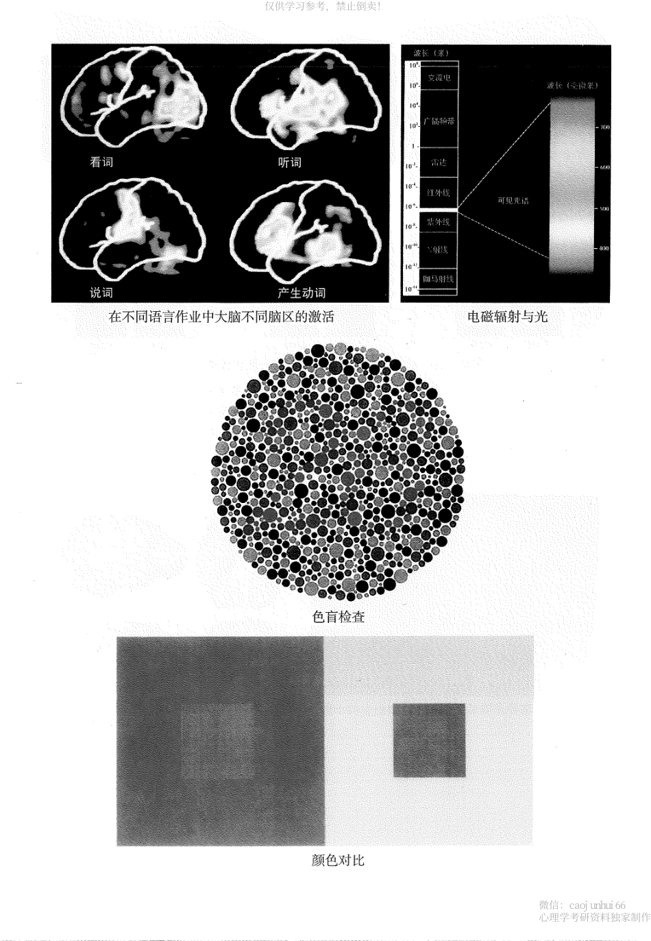 普通心理学第5版_彭聃龄主编.pdf_第3页