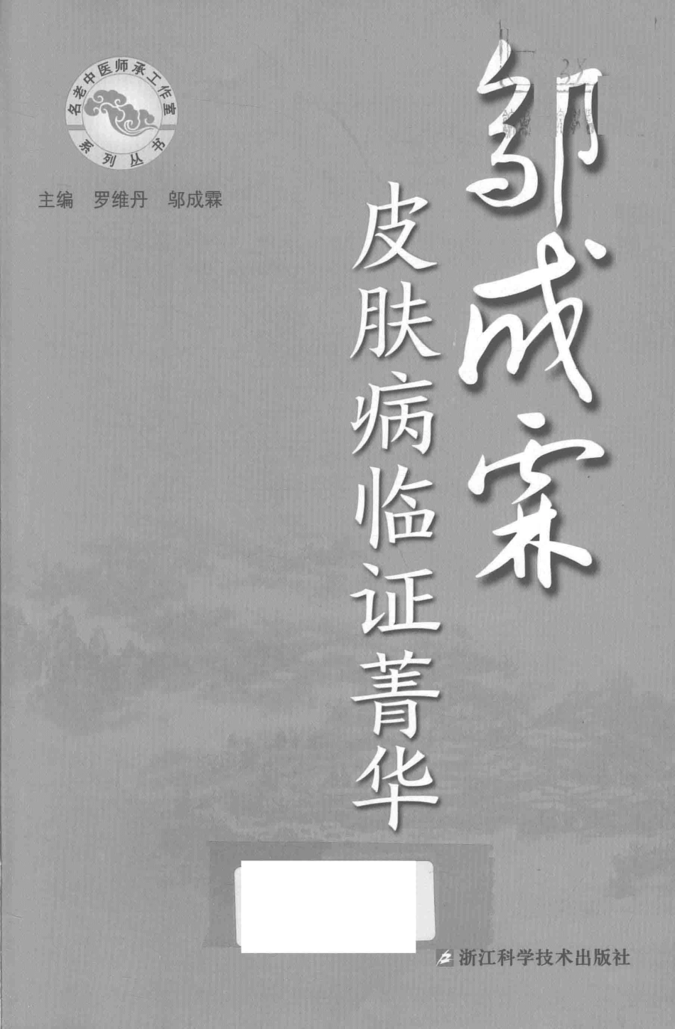 邬成霖皮肤病临证菁华_罗维丹邬成霖主编.pdf_第2页