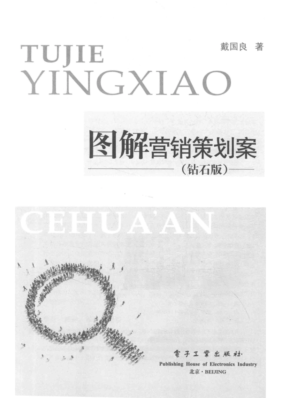 图解营销策划案钻石版_戴国良著.pdf_第2页