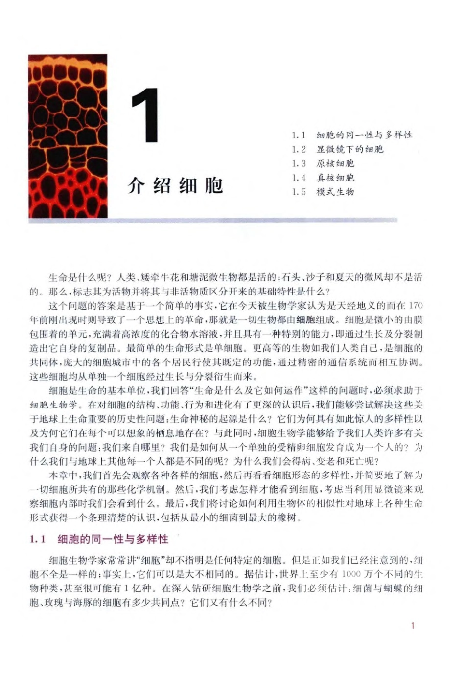 细胞生物学精要(原书第3版).pdf_第3页