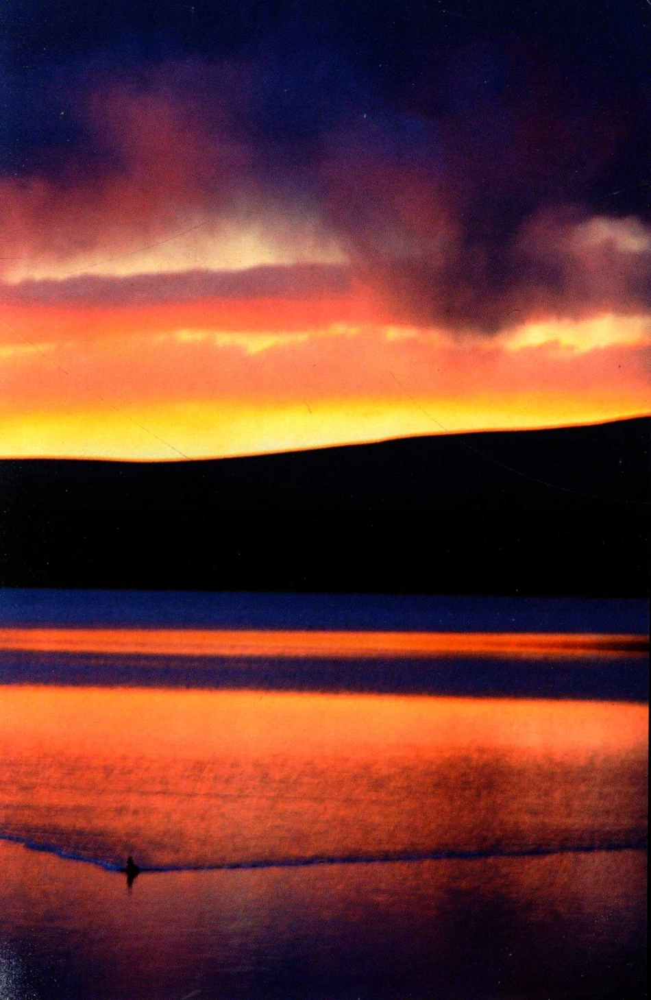 我们的西藏当代西藏风貌与风情法文_吴钧编著；（法）陆毅王圆圆译.pdf_第3页