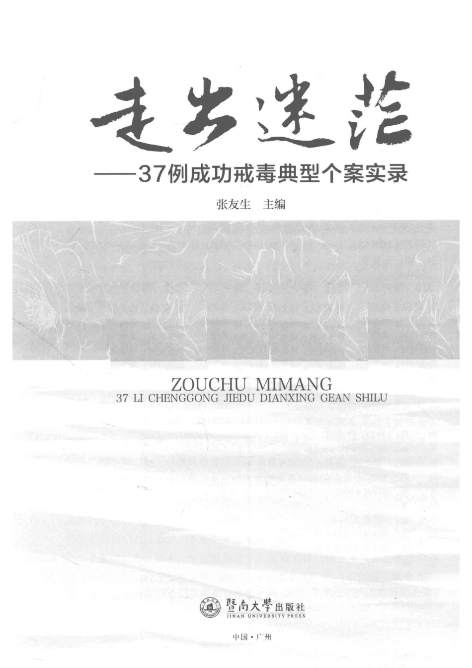 走出迷茫37例成功戒毒典型个案实录_张友生主编.pdf_第2页