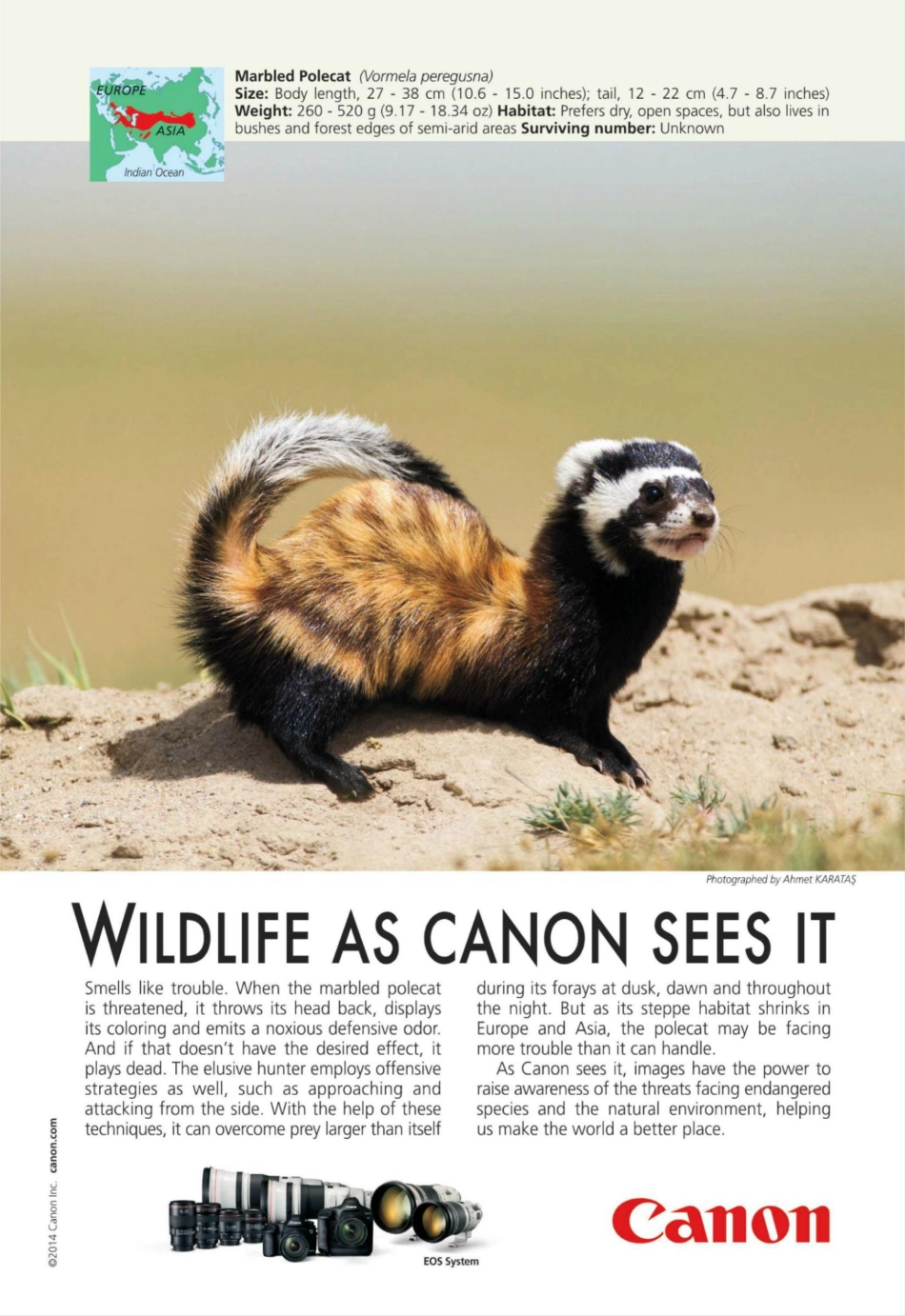 National Geographic 2014年第02期.pdf_第2页