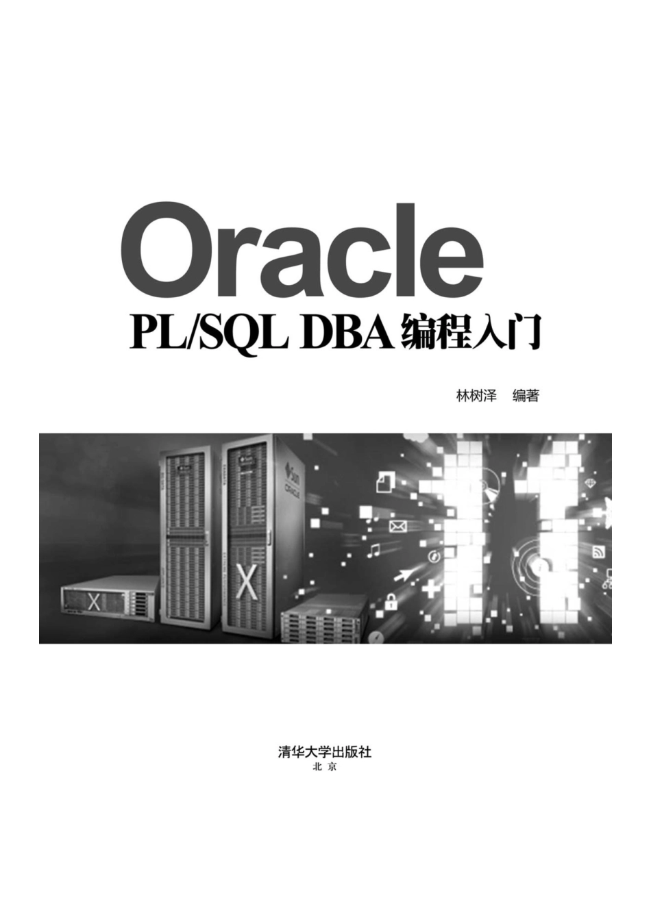 Oracle PL_SQL DBA编程入门.pdf_第2页