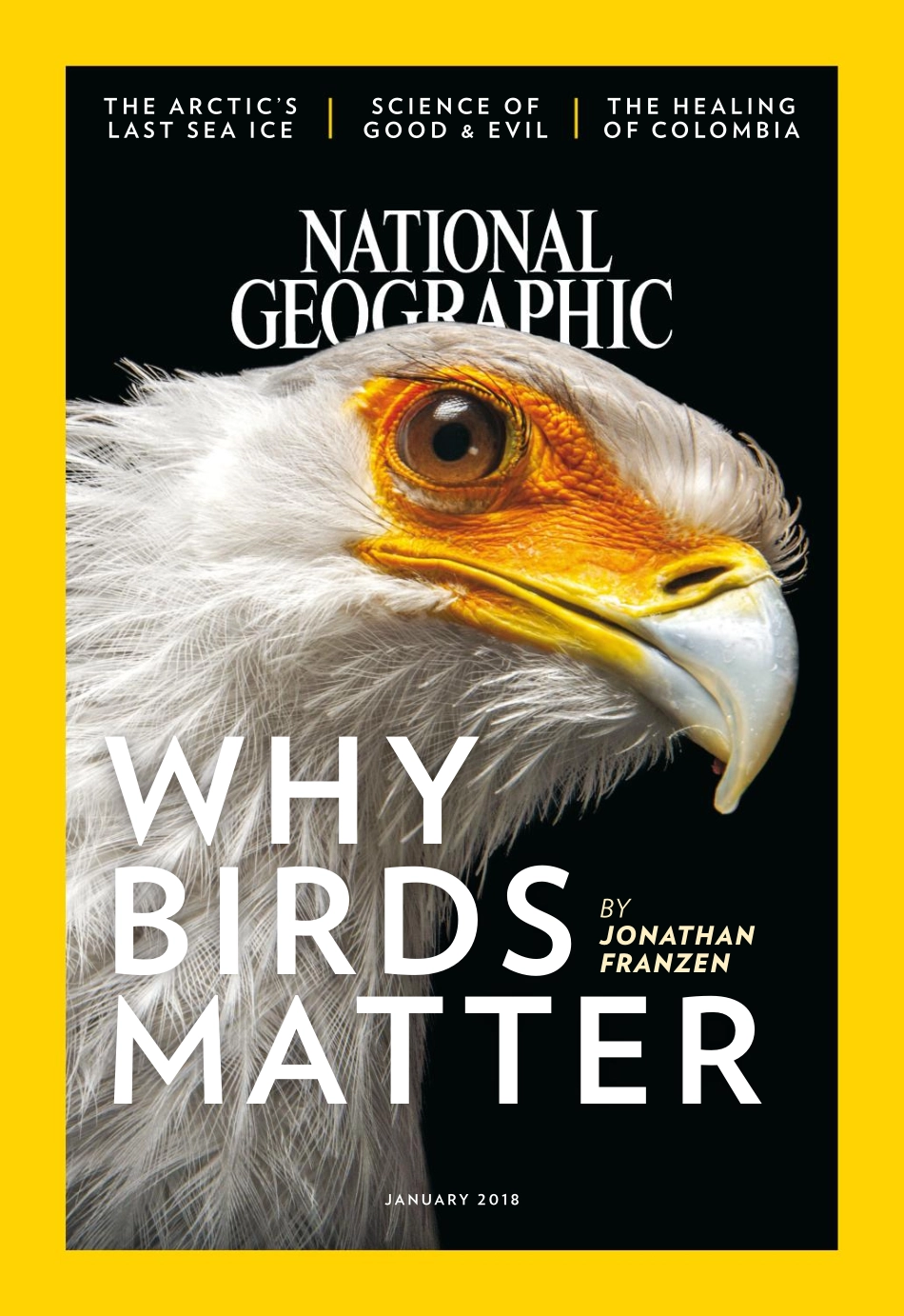 National Geographic 2018年第01期.pdf_第1页