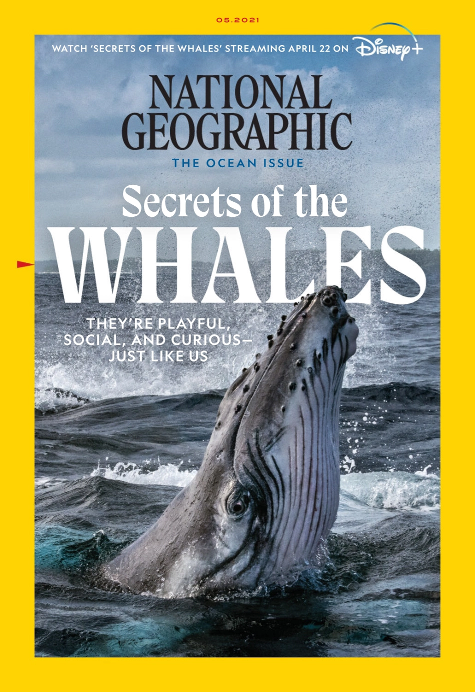 National Geographic 2021年第05期.pdf_第1页