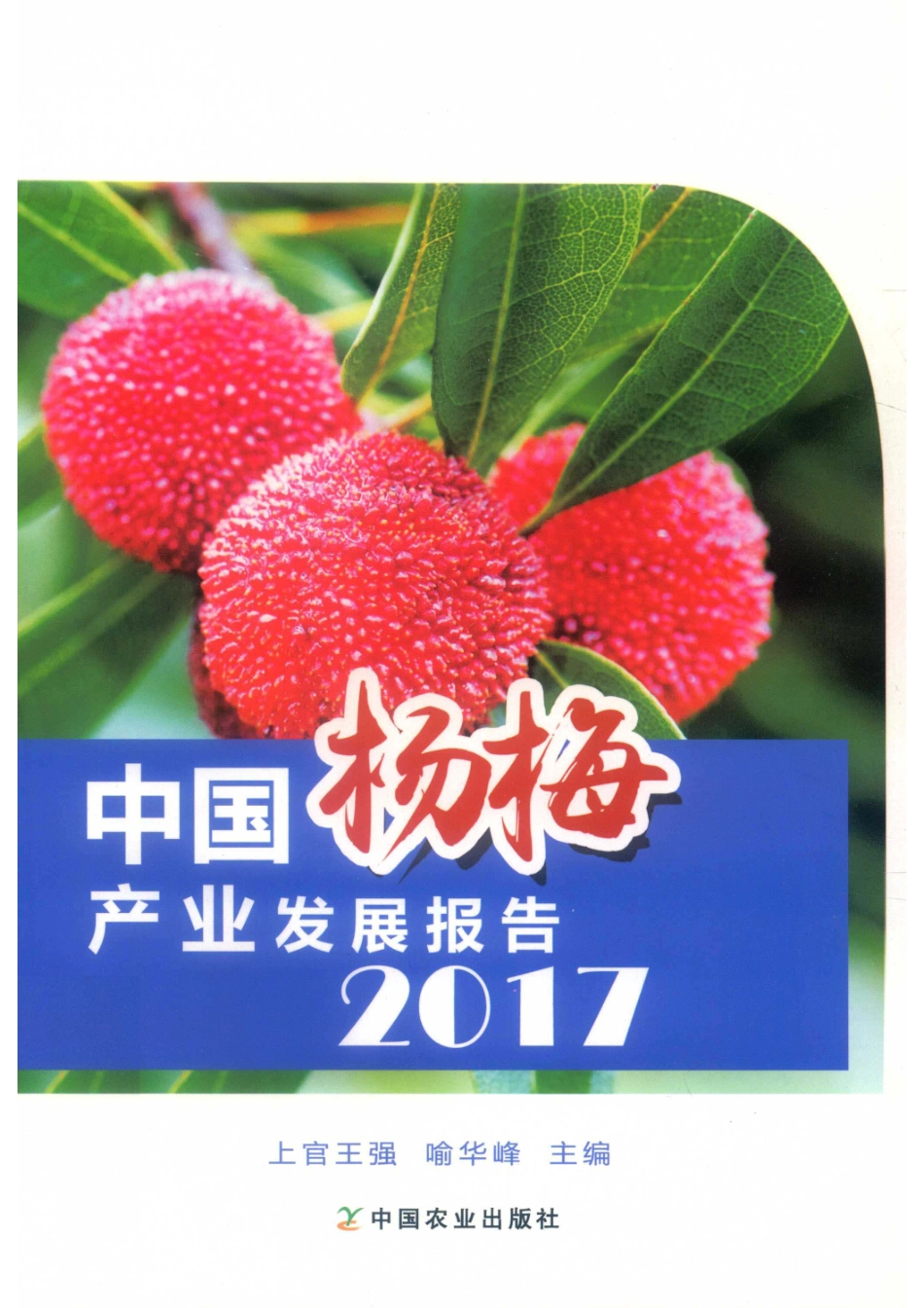 中国杨梅产业发展报告2017_上官王强喻华峰主编.pdf_第1页