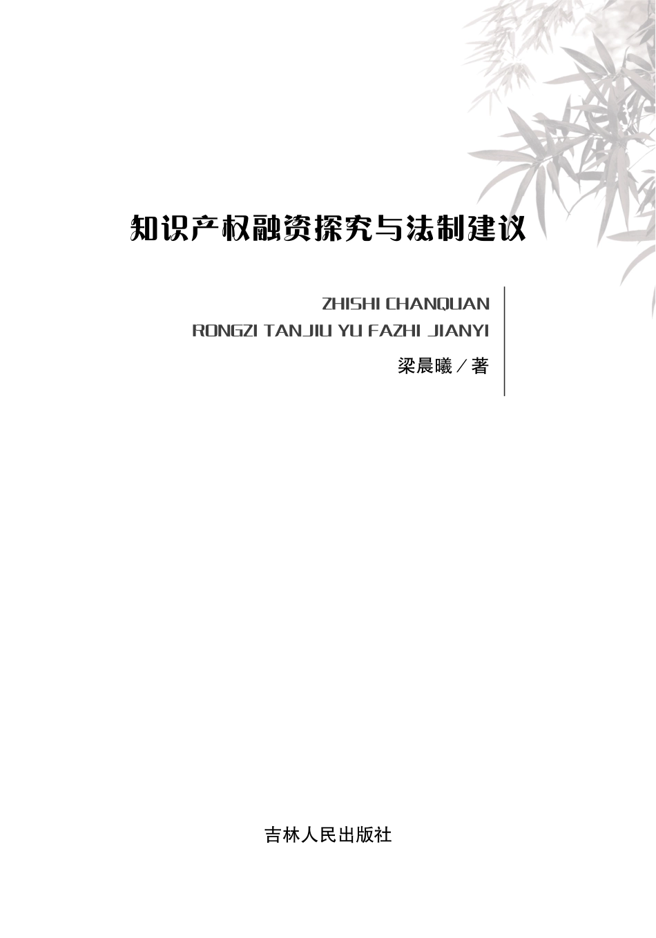 知识产权融资探究与法制建议_梁晨曦著.pdf_第2页