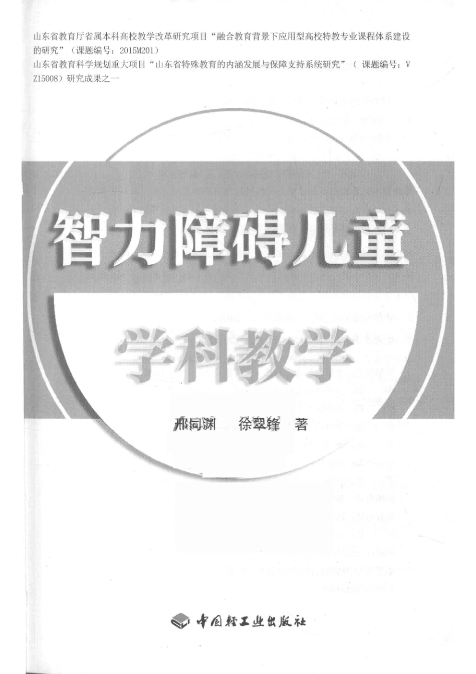 智力障碍儿童学科教学_14644089.pdf_第2页