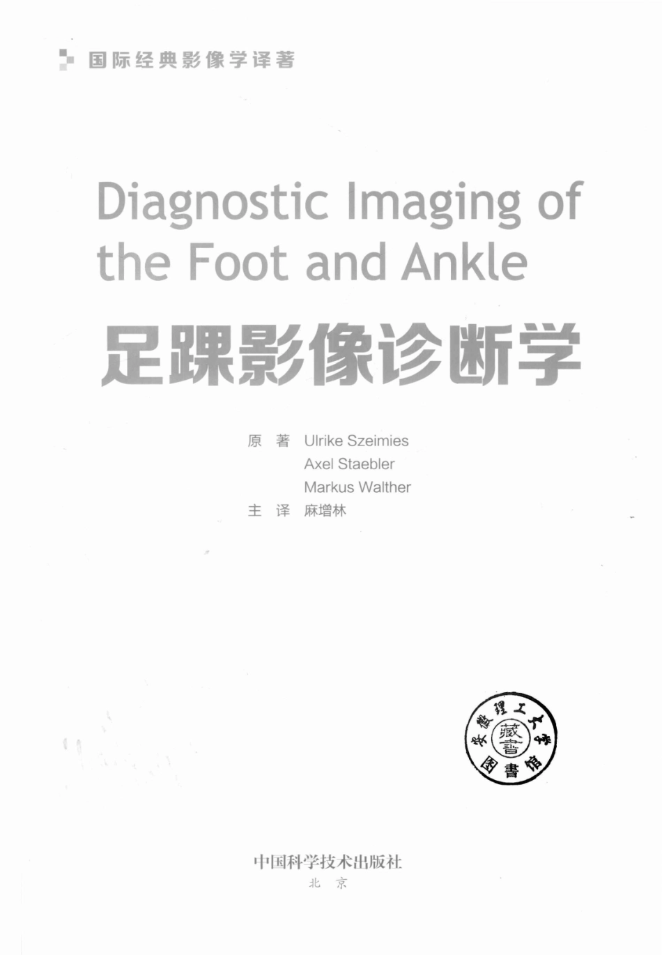 足踝影像诊断学2018版_（德）阿克塞尔·斯蔡密斯（德）马库斯·瓦尔特原著；麻增林主译.pdf_第2页
