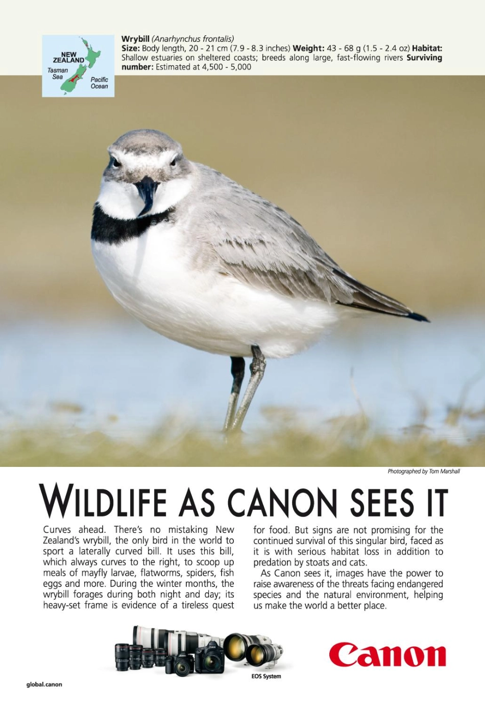 National Geographic 2017年第05期.pdf_第2页