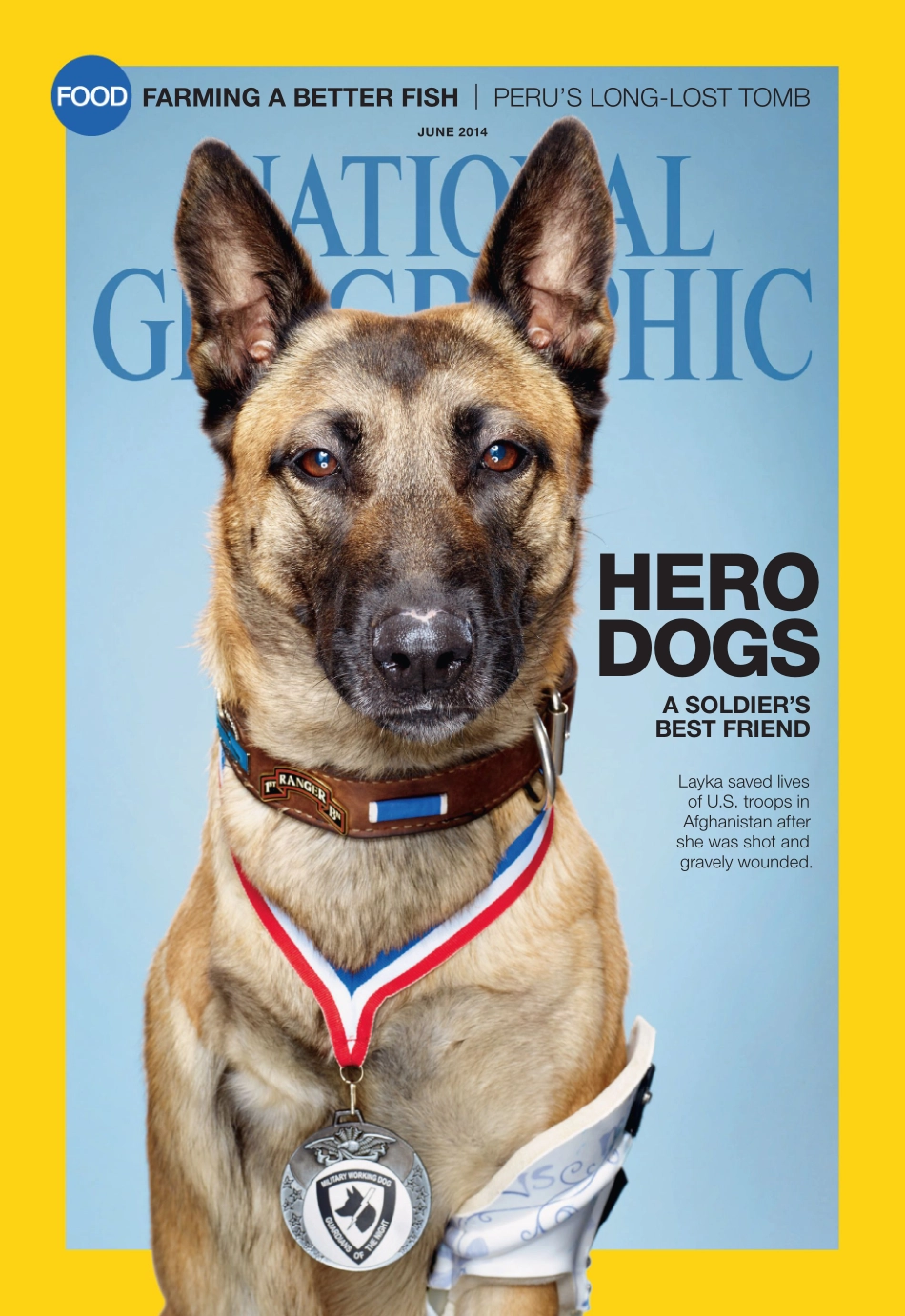 National Geographic 2014年第06期.pdf_第1页