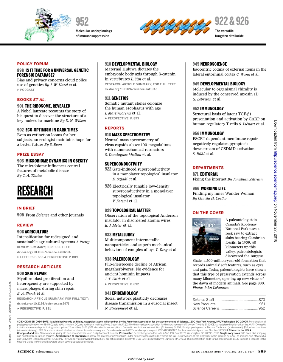 Science 2018-11-23.pdf_第3页