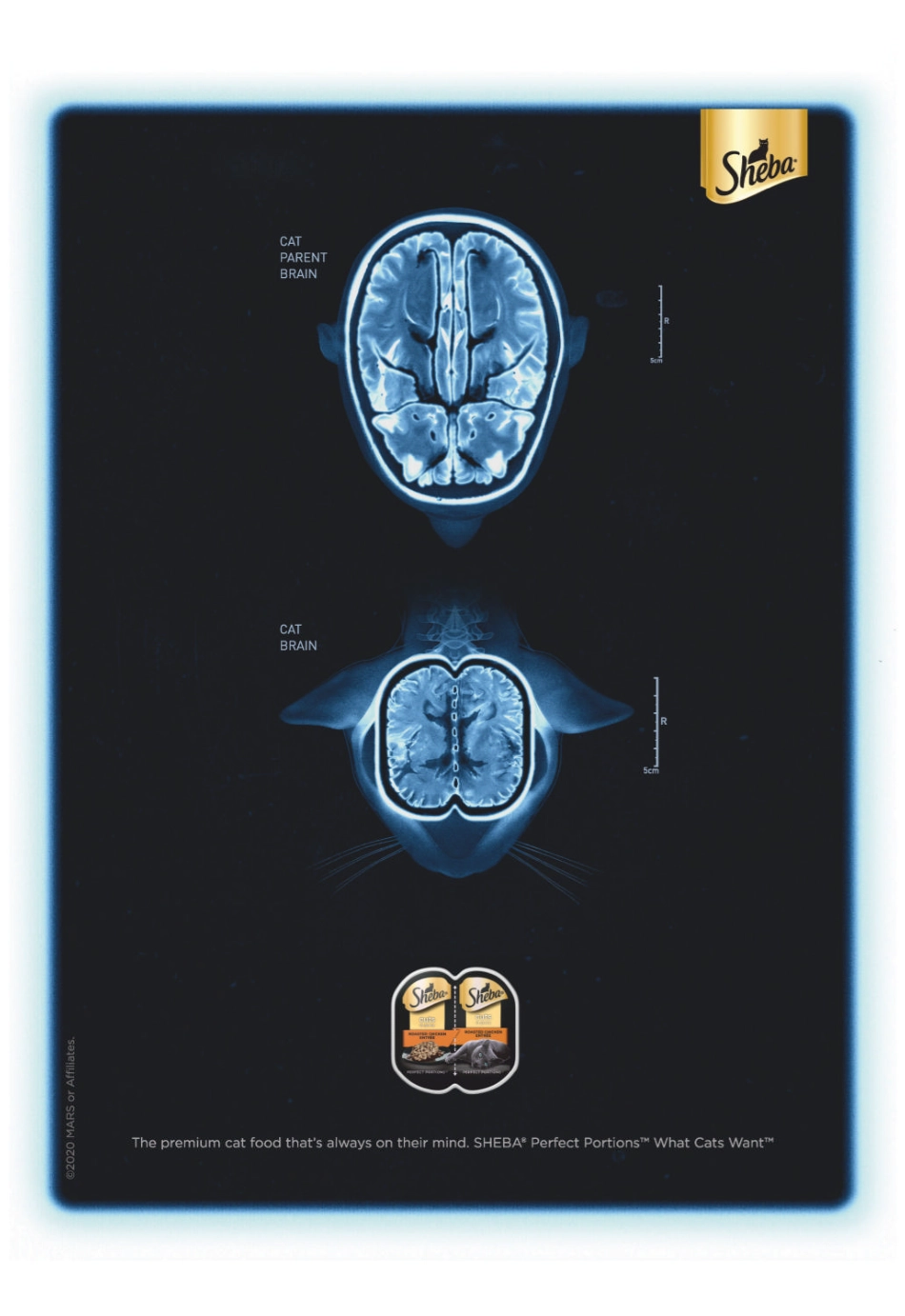 National Geographic 2021年第02期.pdf_第2页