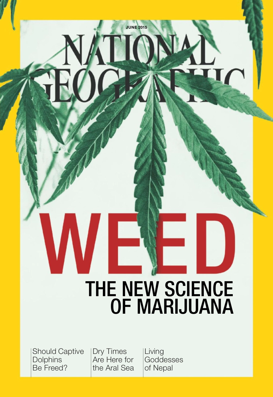 National Geographic 2015年第06期.pdf_第1页