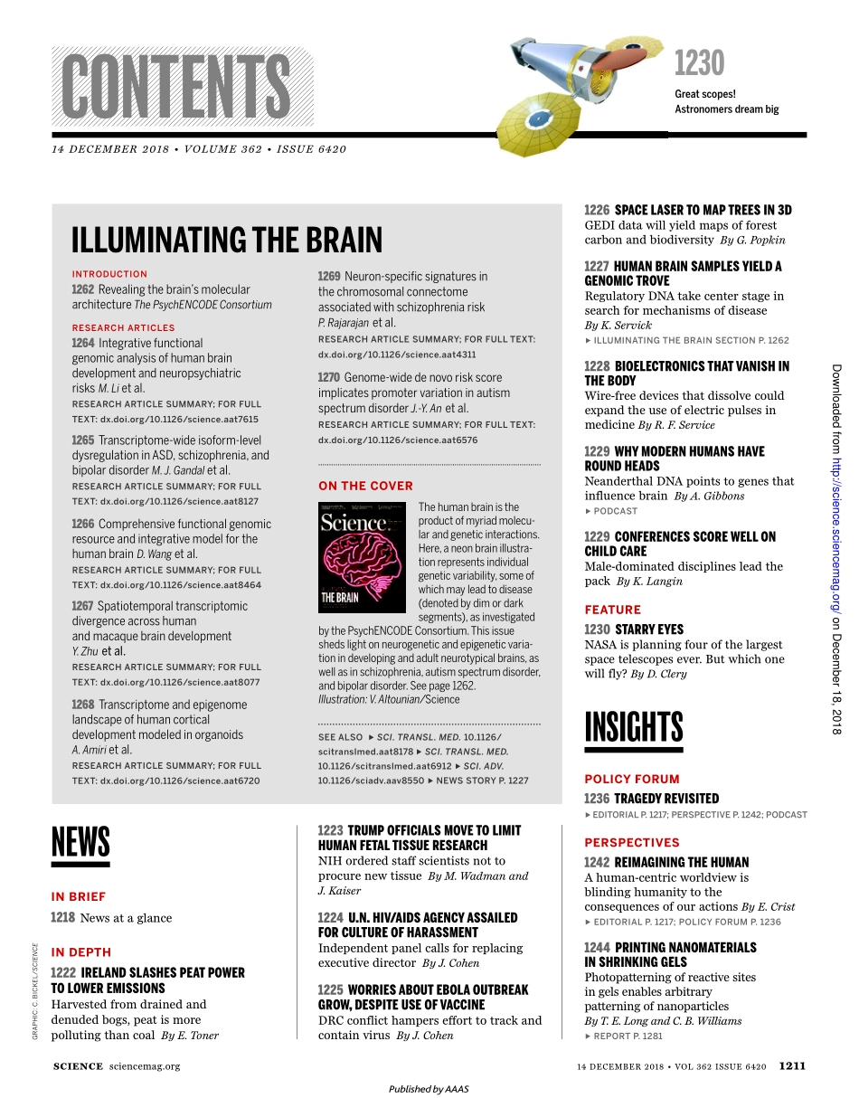 Science 2018-12-14.pdf_第2页