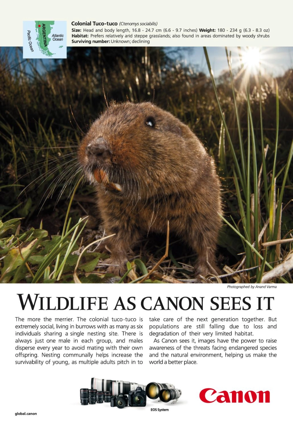 National Geographic 2018年第03期.pdf_第2页