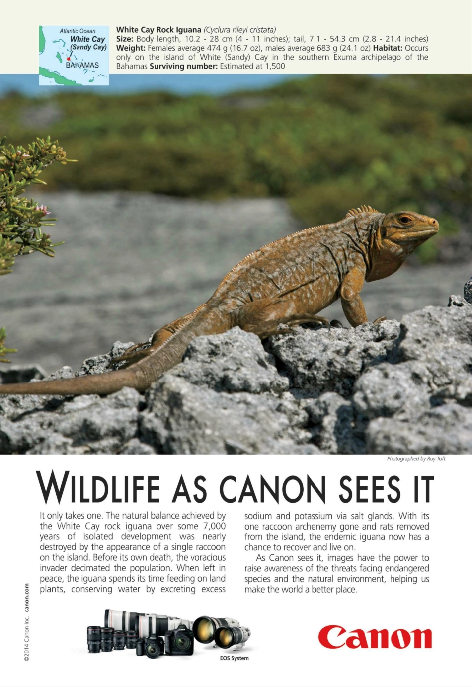 National Geographic 2014年第09期.pdf_第2页