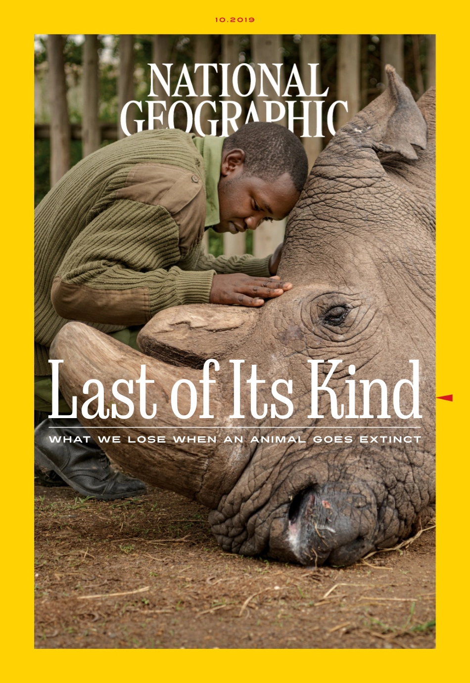 National Geographic 2019年第10期.pdf_第1页